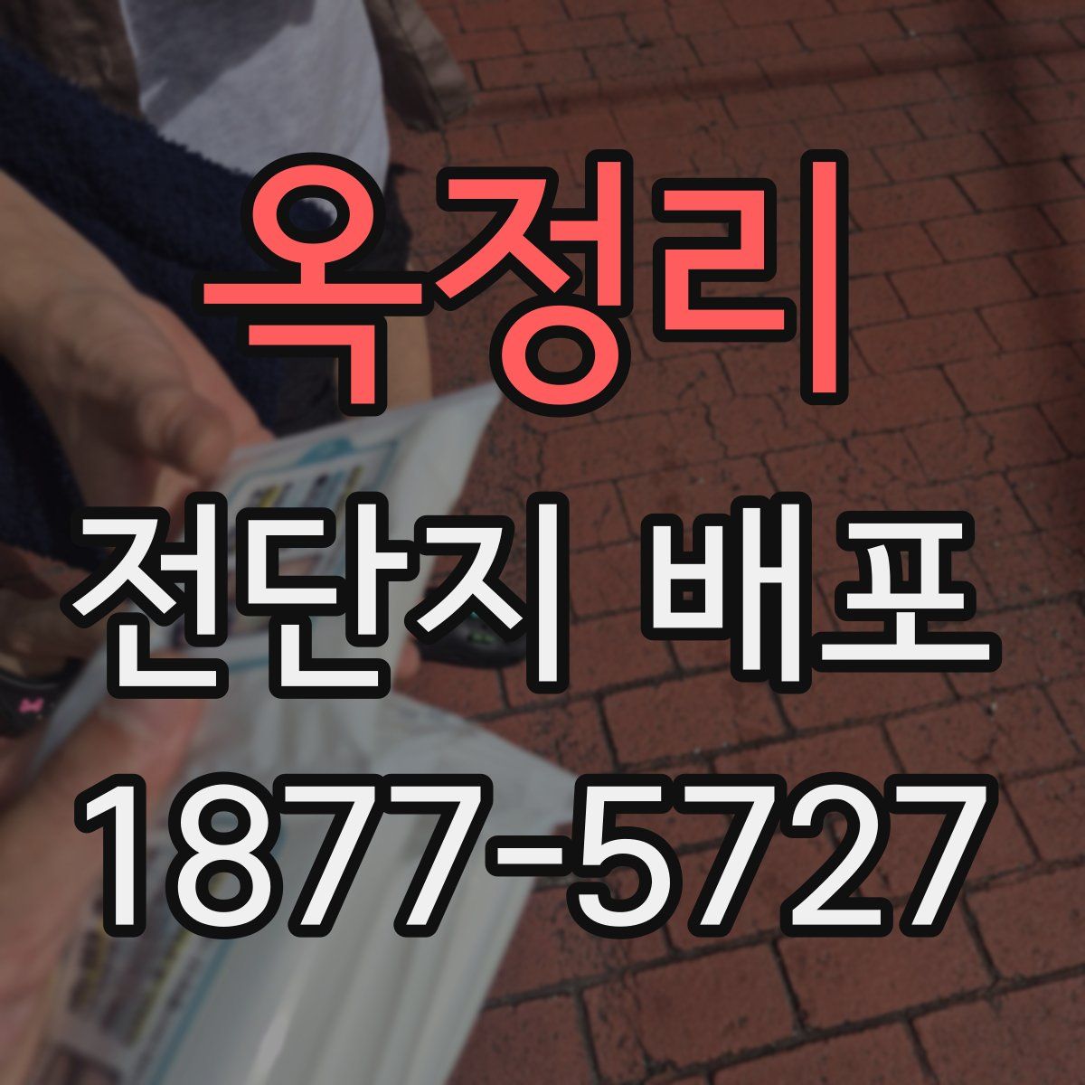 옥정리 전단지 배포