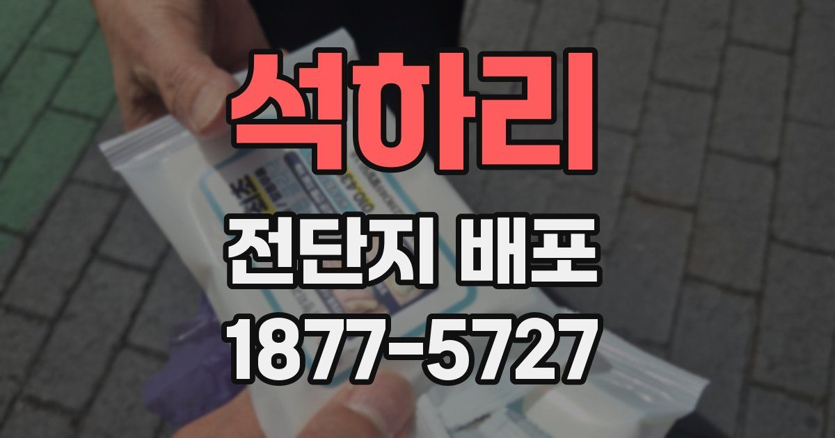 석하리 전단지 배포