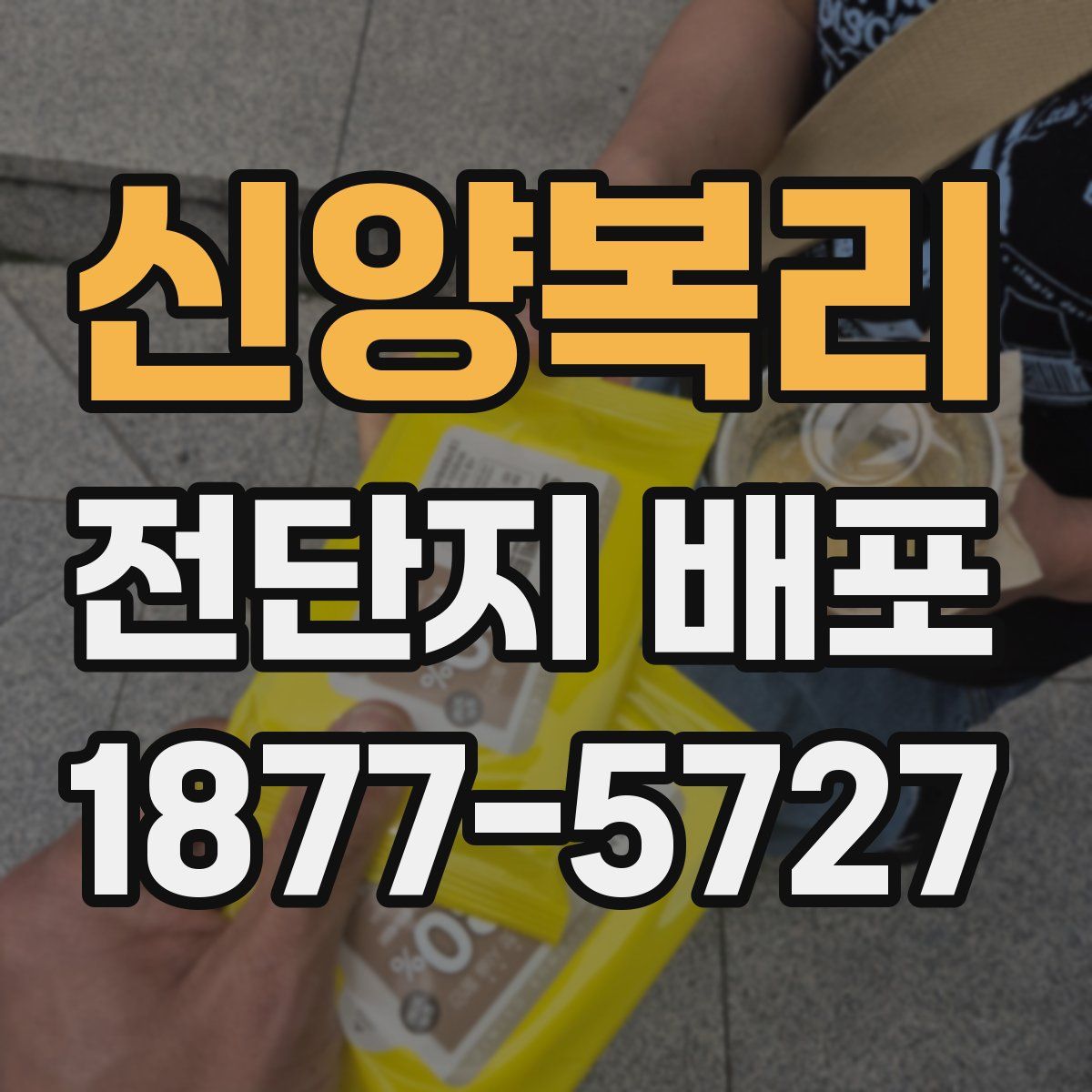 신양복리 전단지 배포