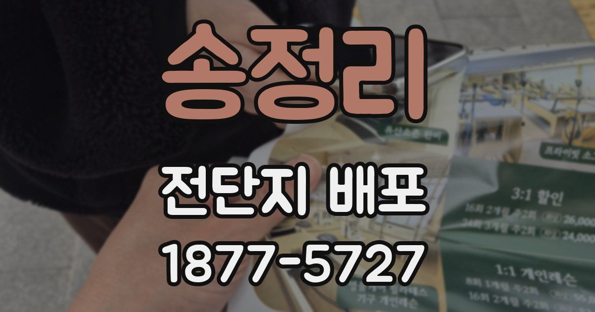 송정리 전단지 배포