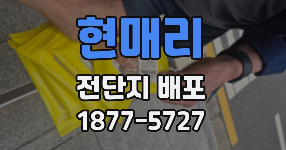 현매리 전단지 배포