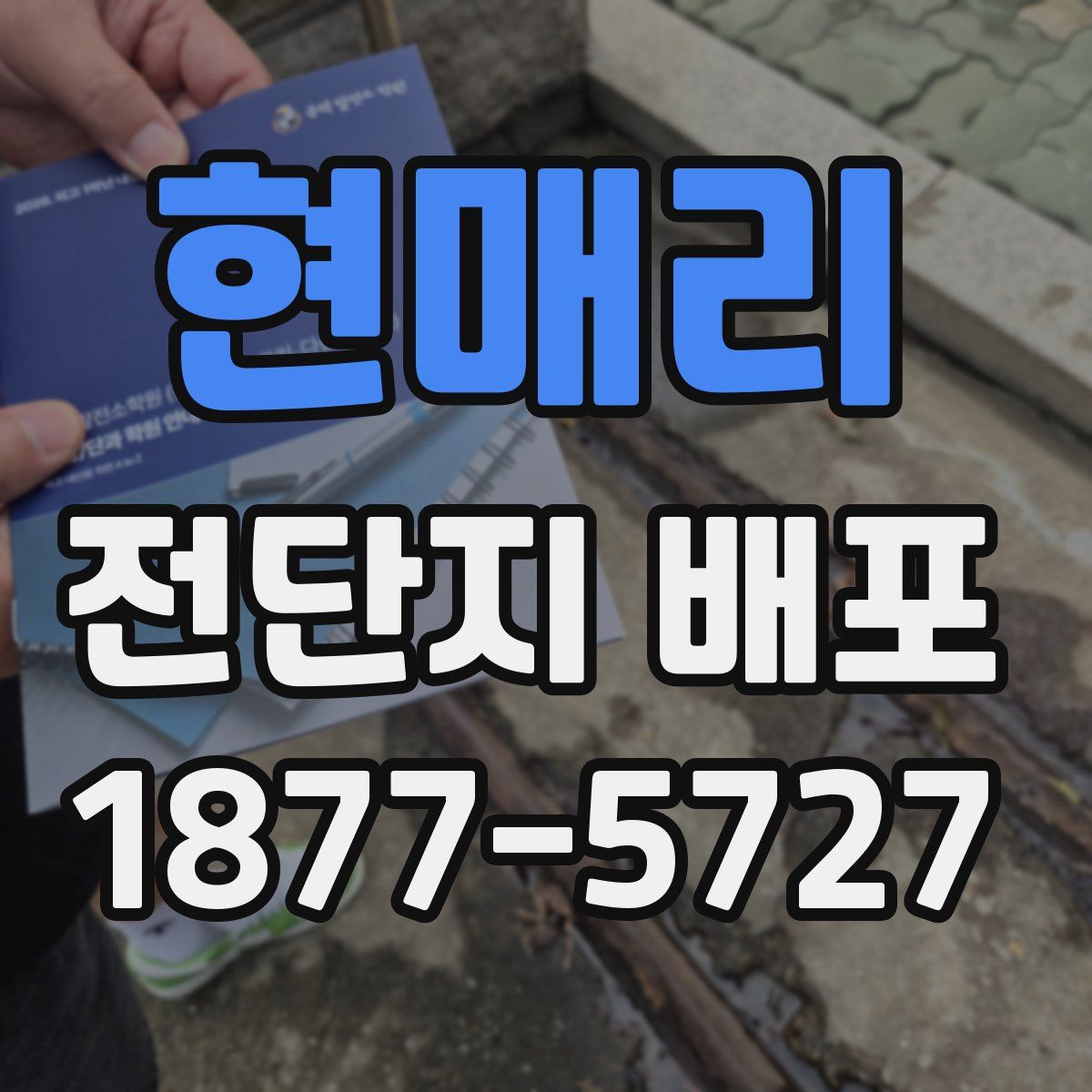 현매리 전단지 배포