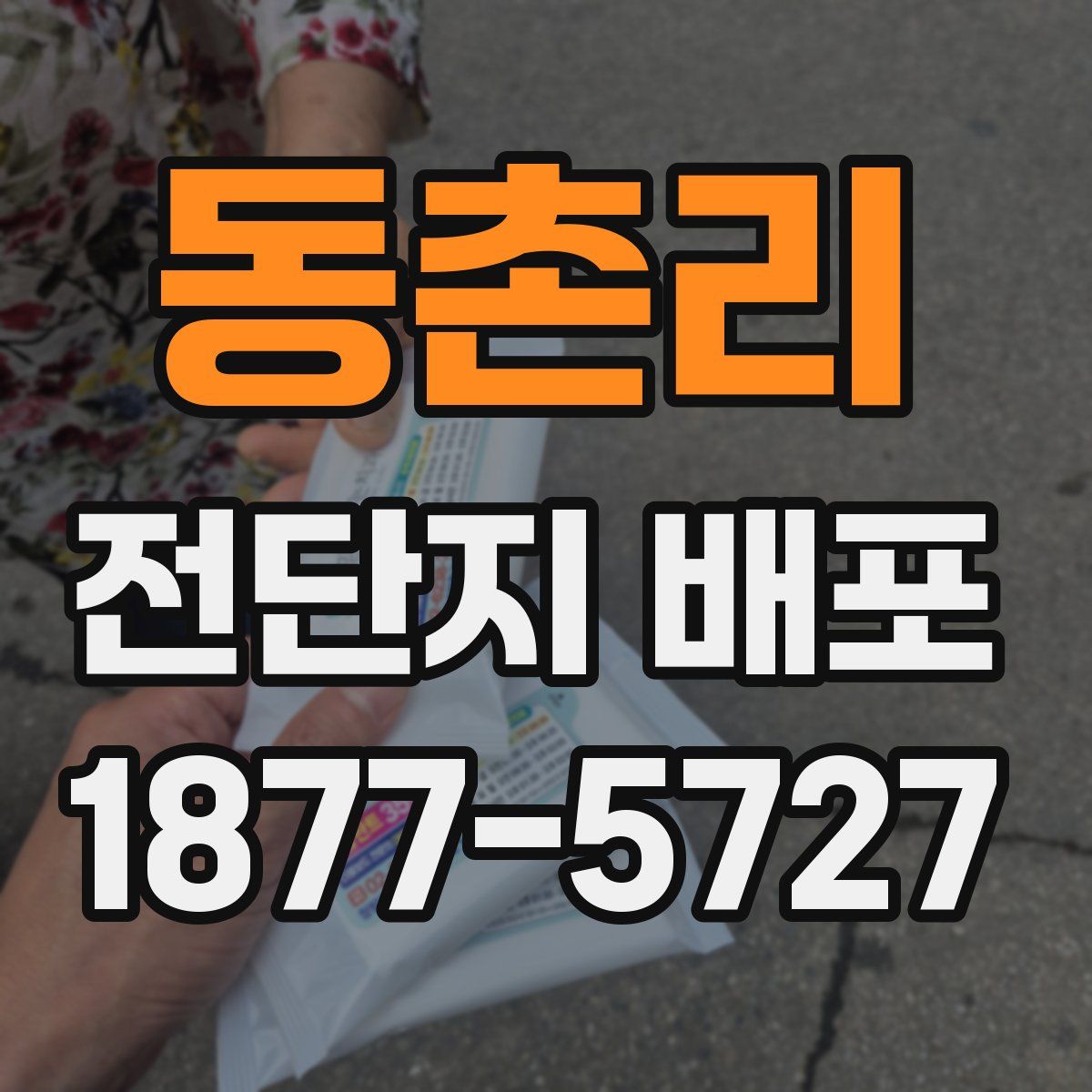동촌리 전단지 배포