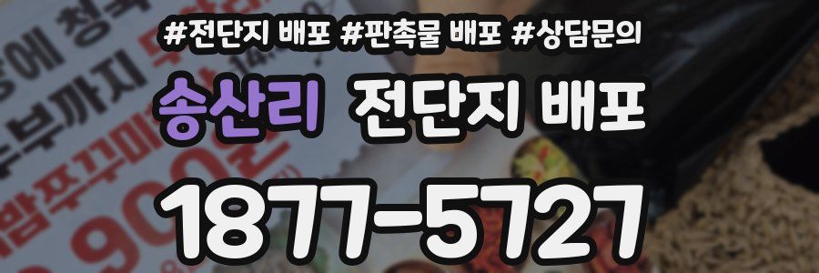 송산리 전단지 배포