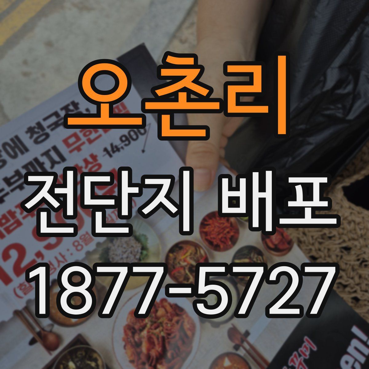 오촌리 전단지 배포