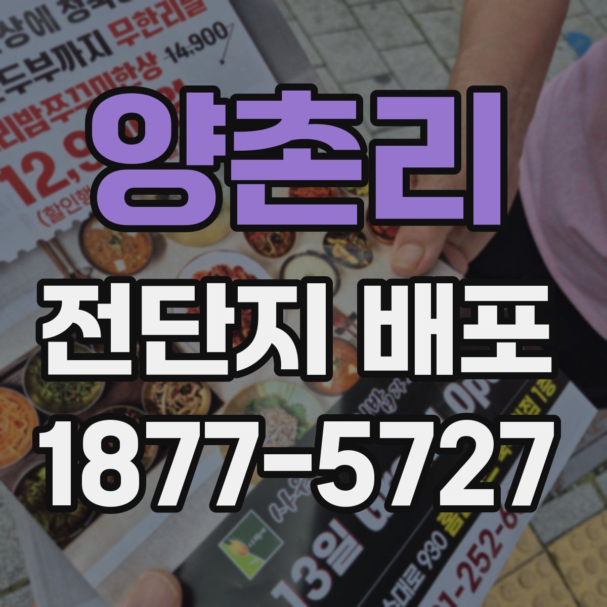양촌리 전단지 배포