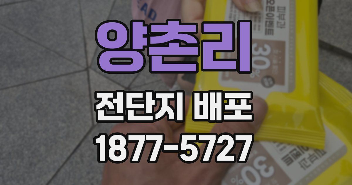 양촌리 전단지 배포