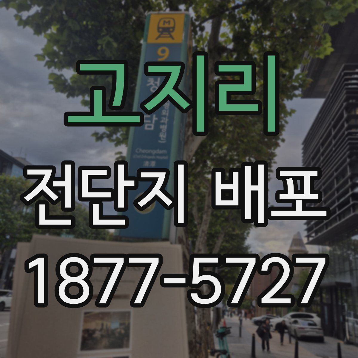 고지리 전단지 배포