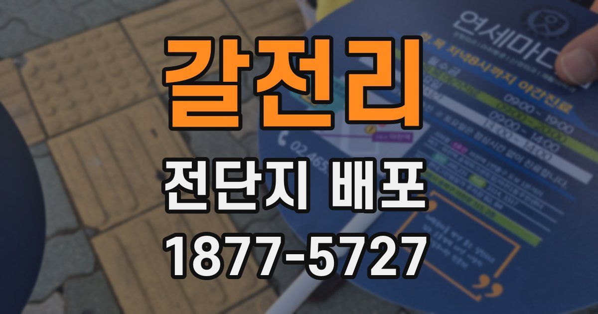 갈전리 전단지 배포