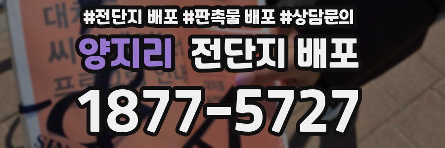 양지리 전단지 배포