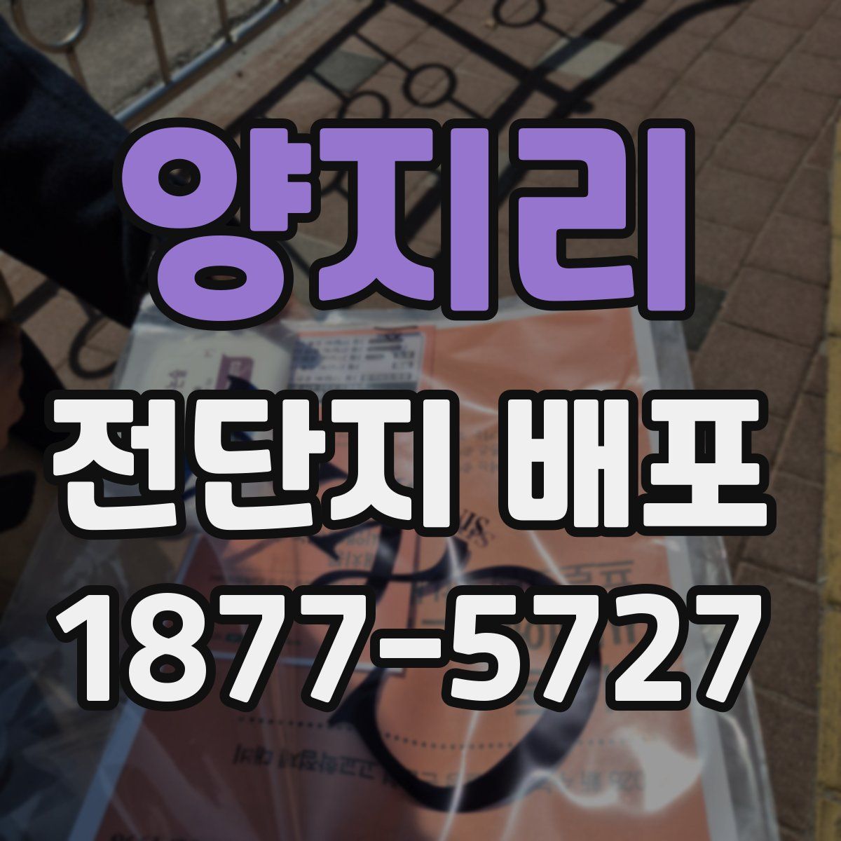 양지리 전단지 배포