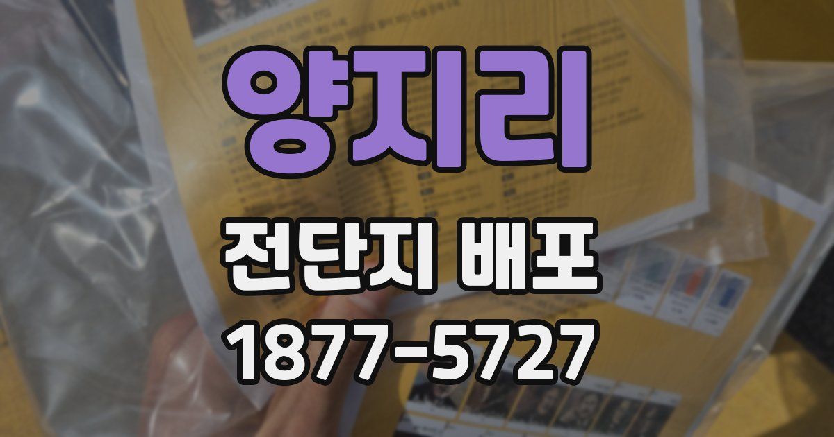 양지리 전단지 배포