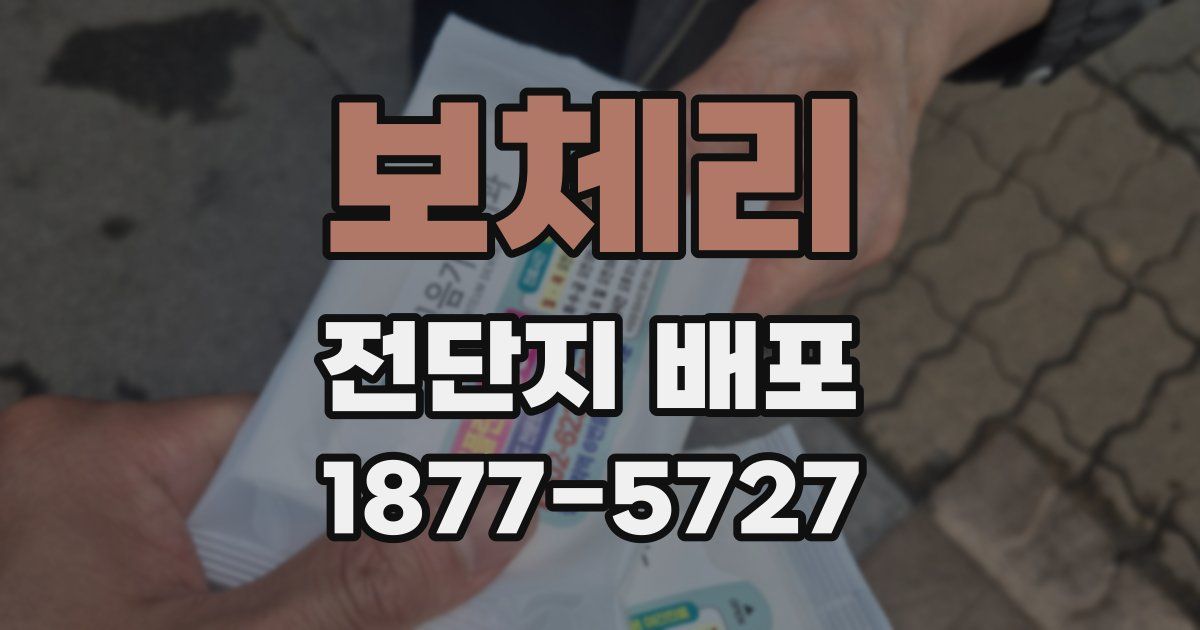 보체리 전단지 배포