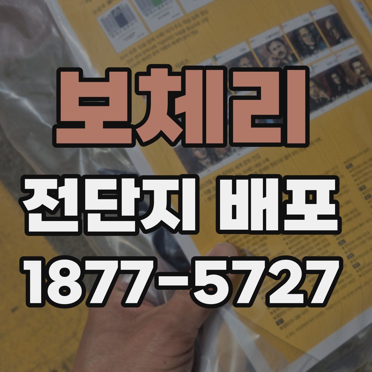 보체리 전단지 배포