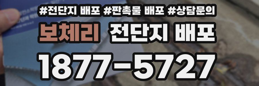 보체리 전단지 배포