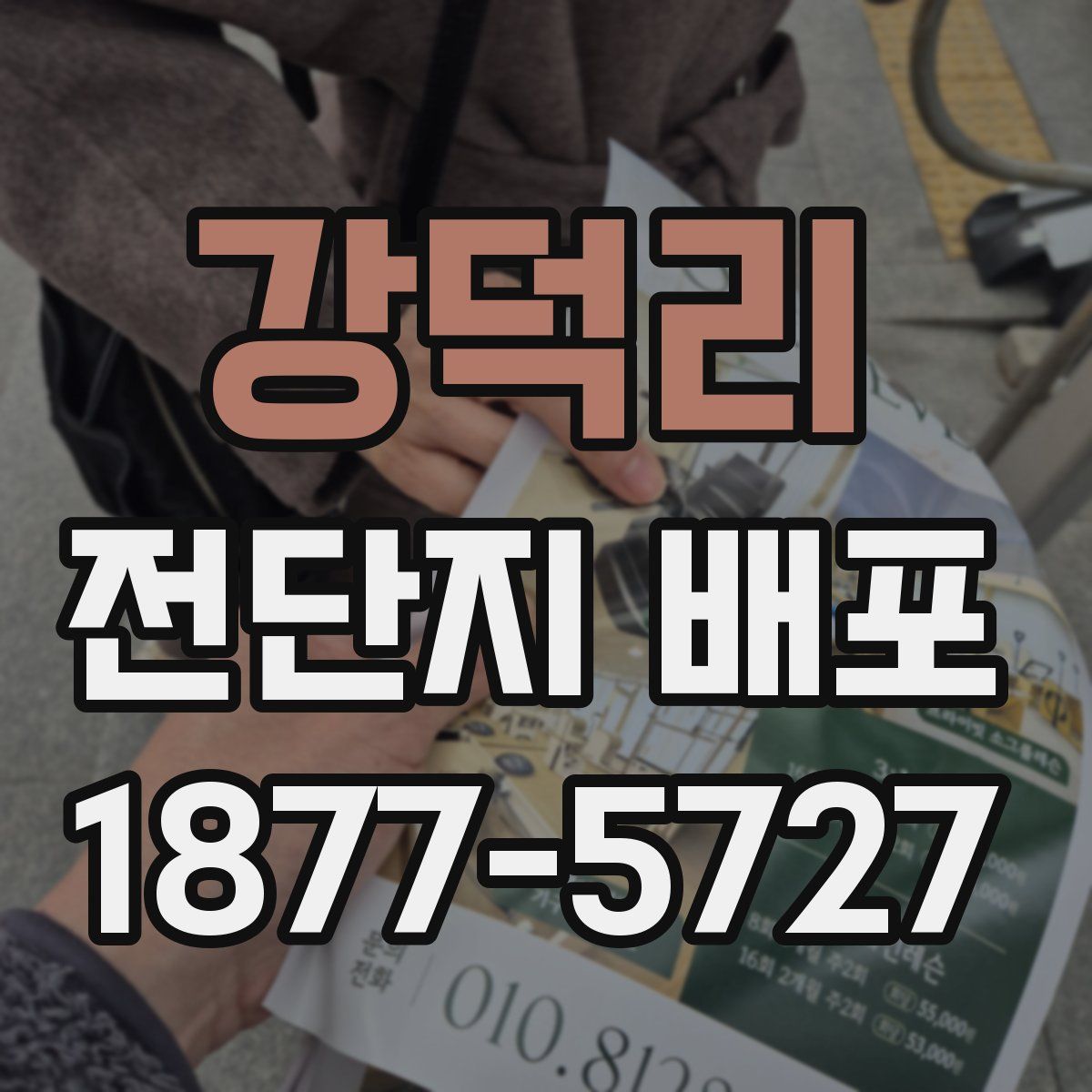 강덕리 전단지 배포