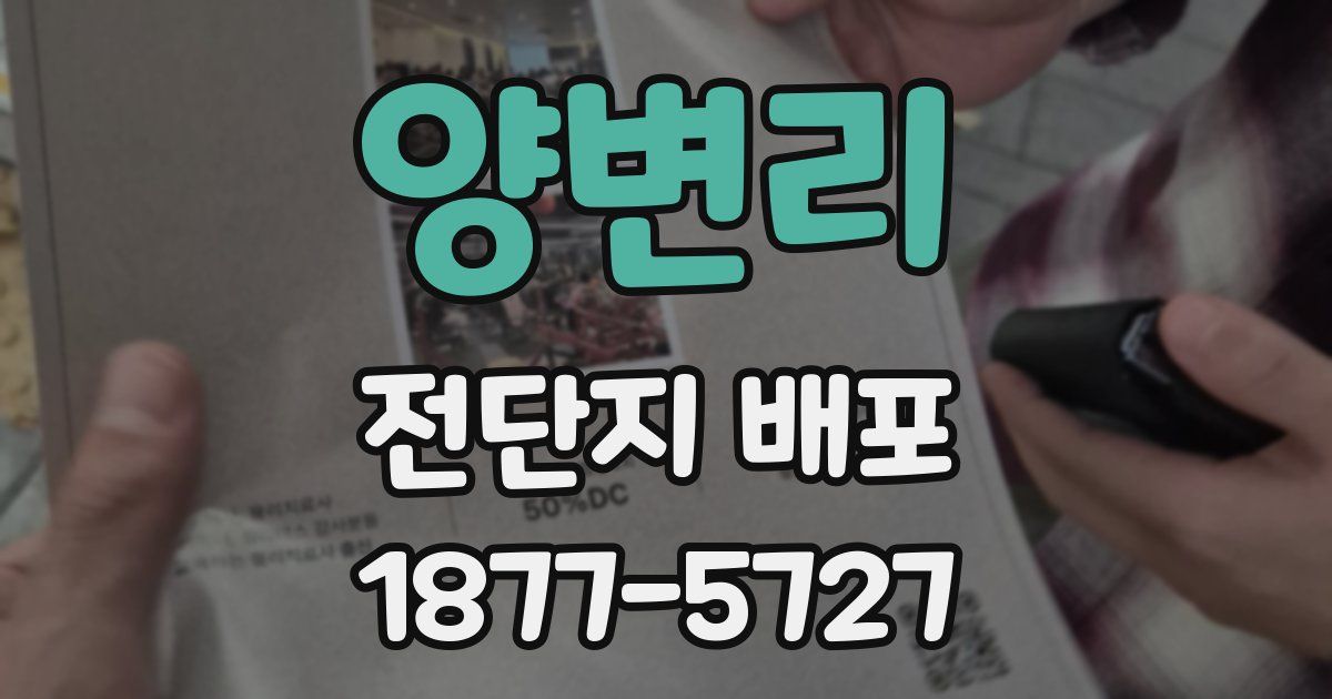 양변리 전단지 배포