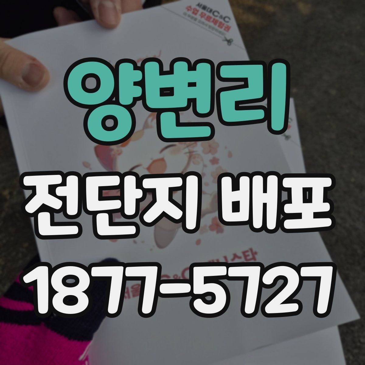 양변리 전단지 배포