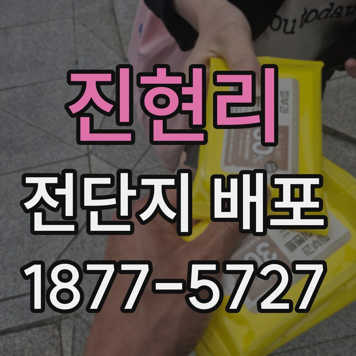 진현리 전단지 배포