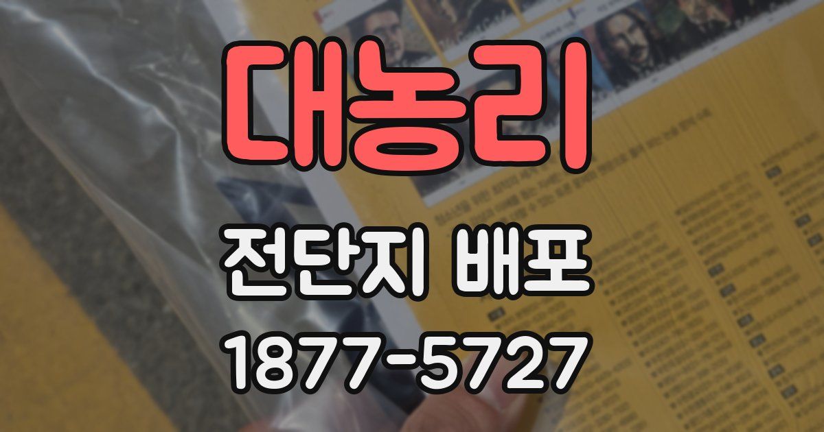 대농리 전단지 배포