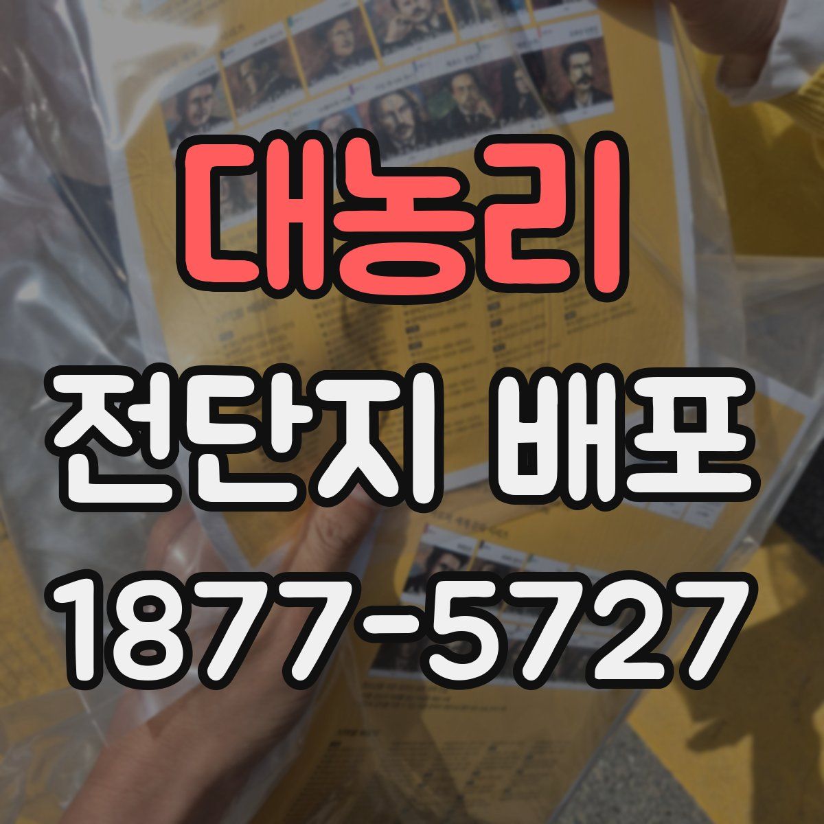 대농리 전단지 배포