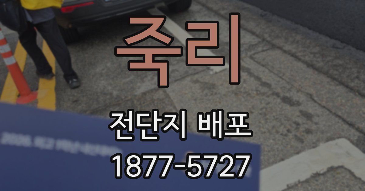 죽리 전단지 배포
