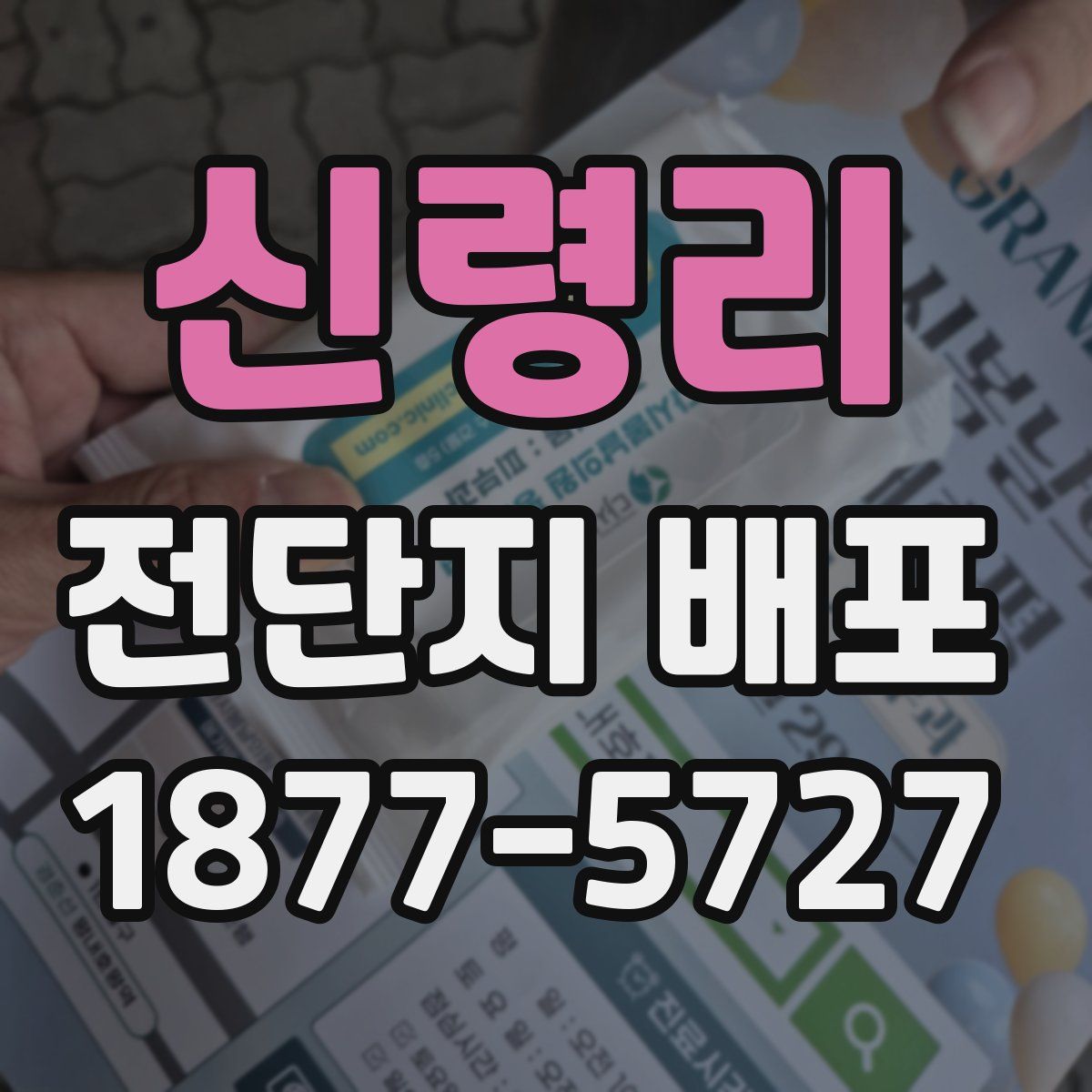 신령리 전단지 배포