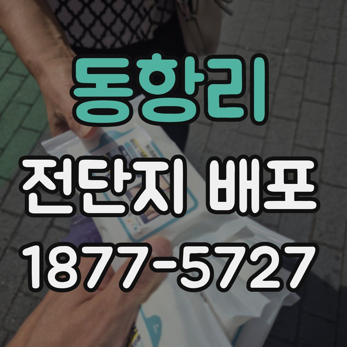 동항리 전단지 배포