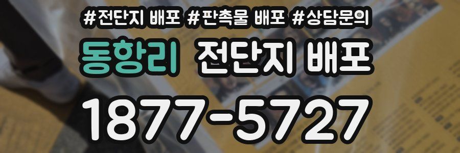 동항리 전단지 배포
