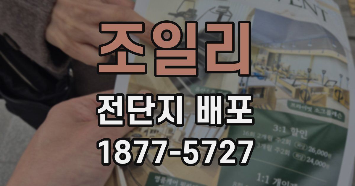 조일리 전단지 배포