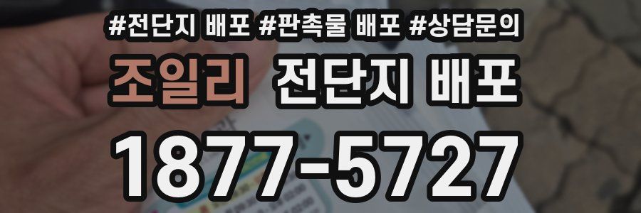 조일리 전단지 배포