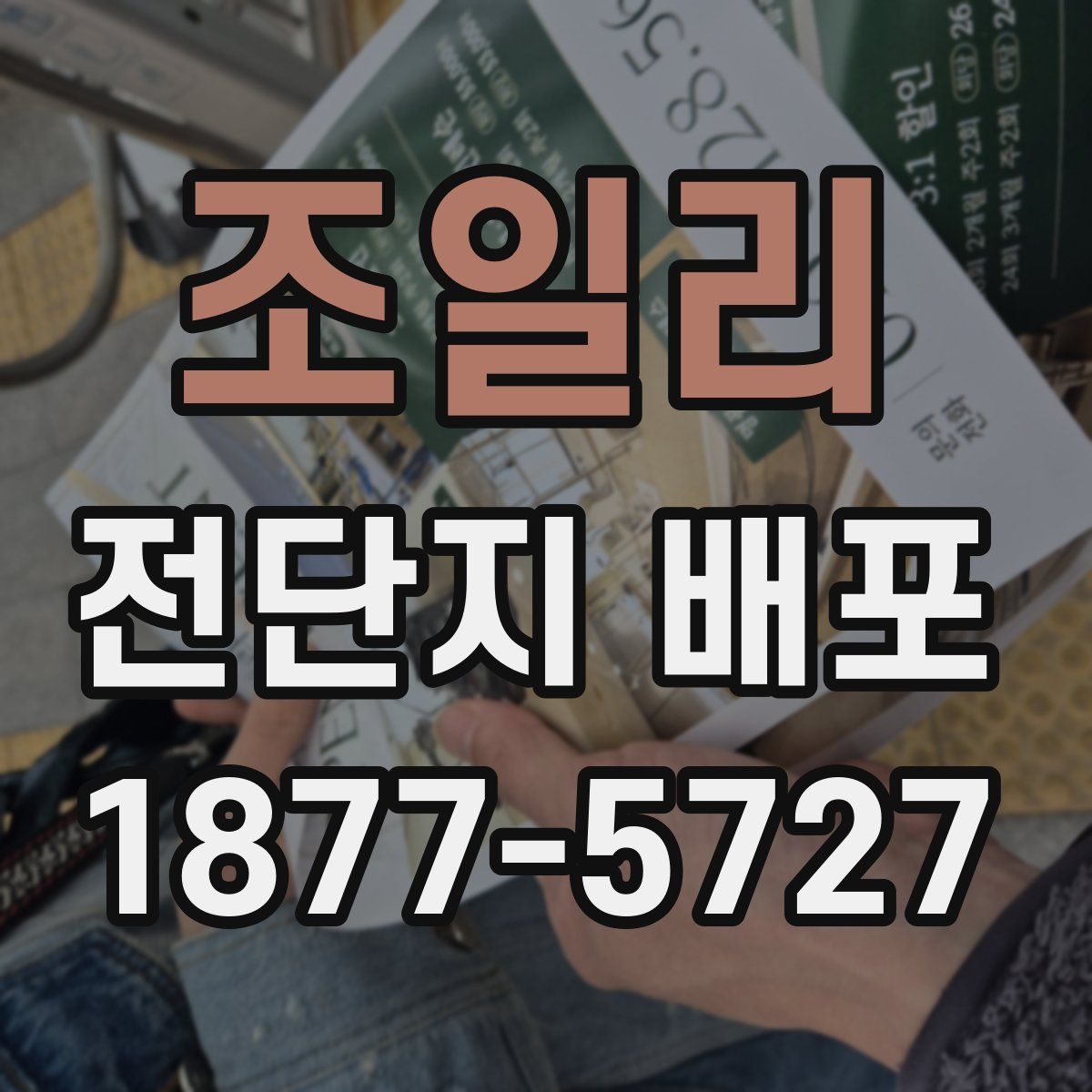 조일리 전단지 배포