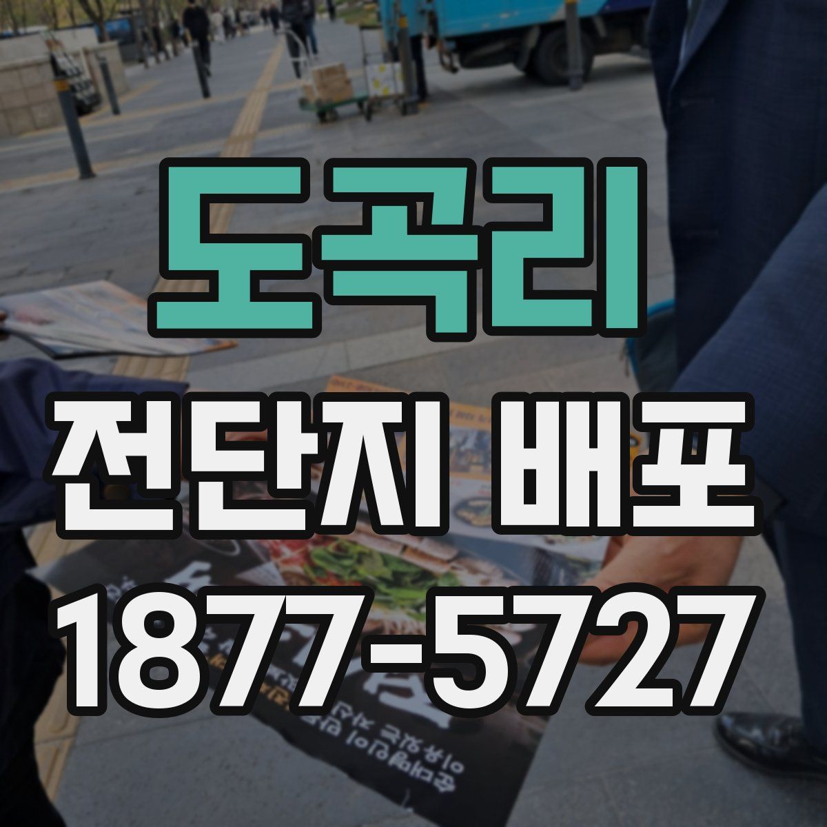 도곡리 전단지 배포