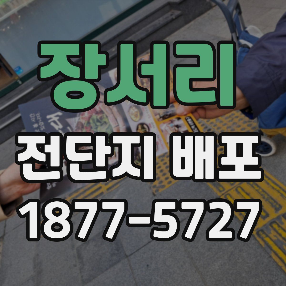 장서리 전단지 배포