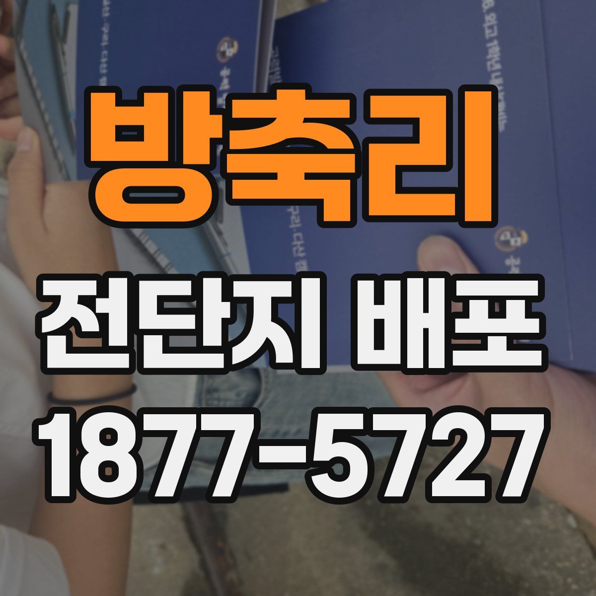 방축리 전단지 배포