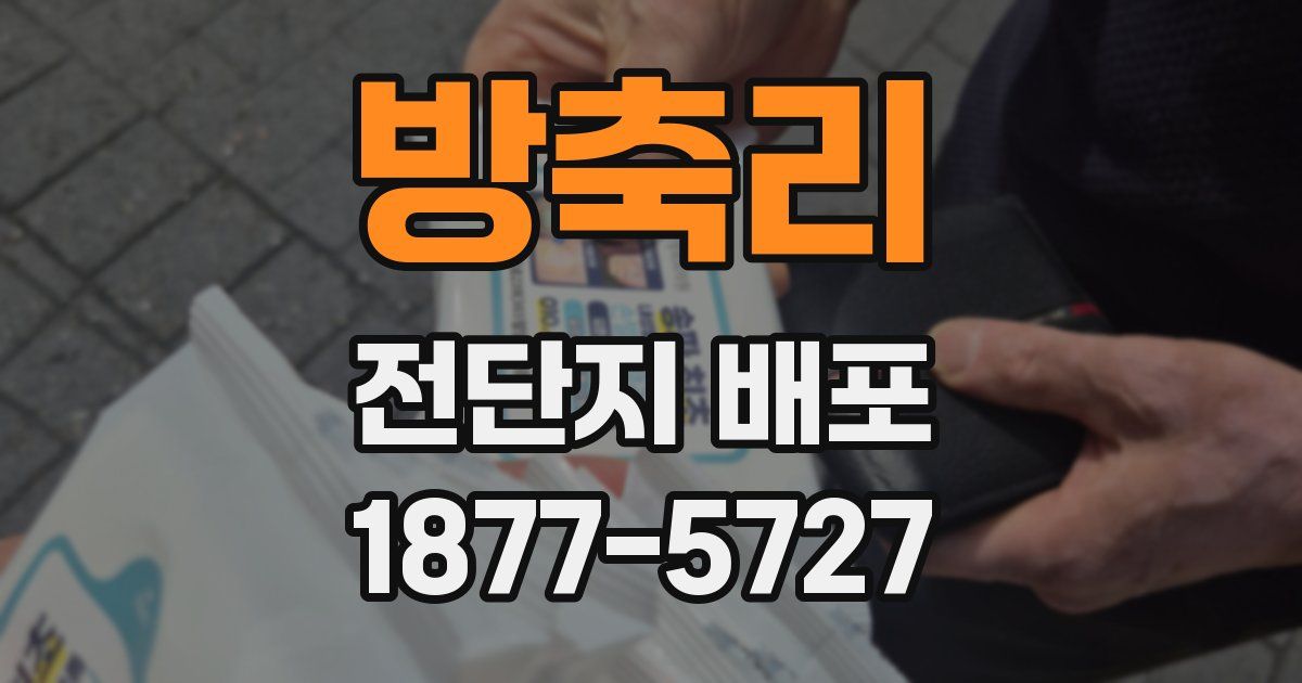 방축리 전단지 배포