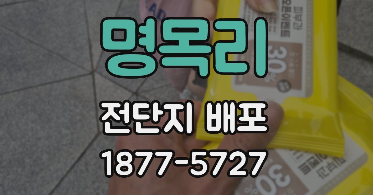 명목리 전단지 배포
