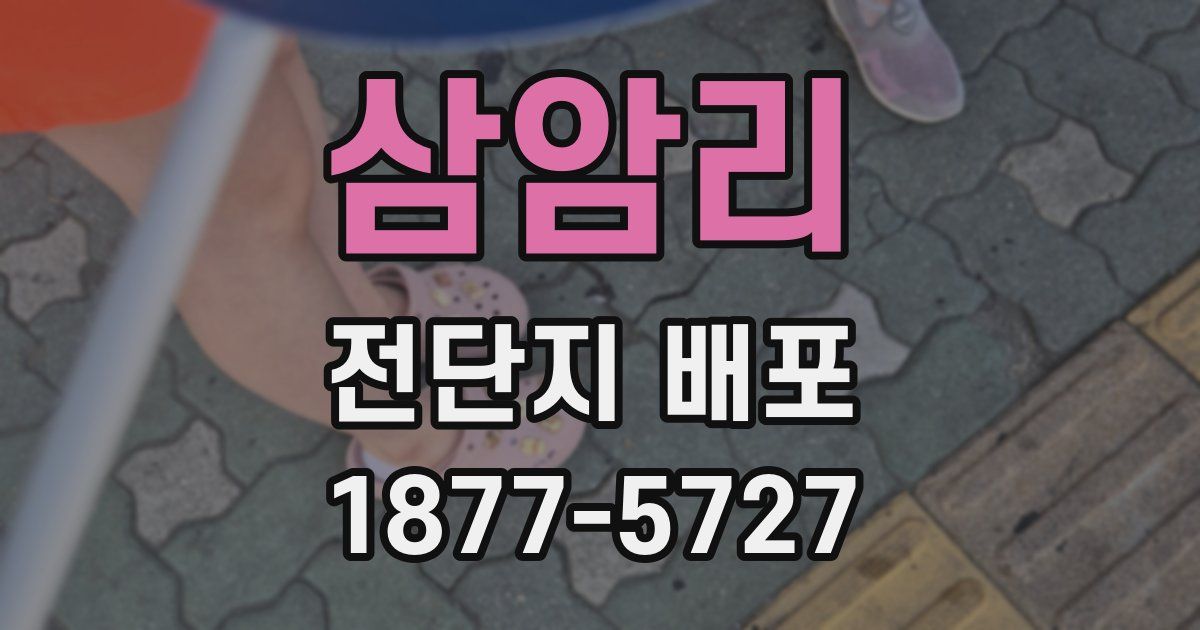 삼암리 전단지 배포