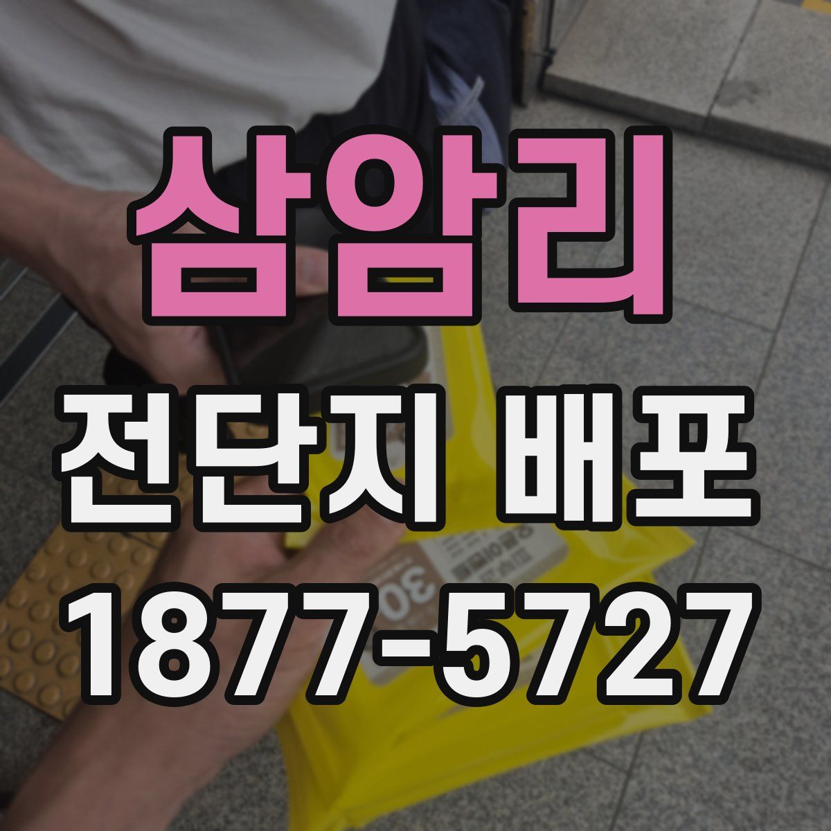 삼암리 전단지 배포