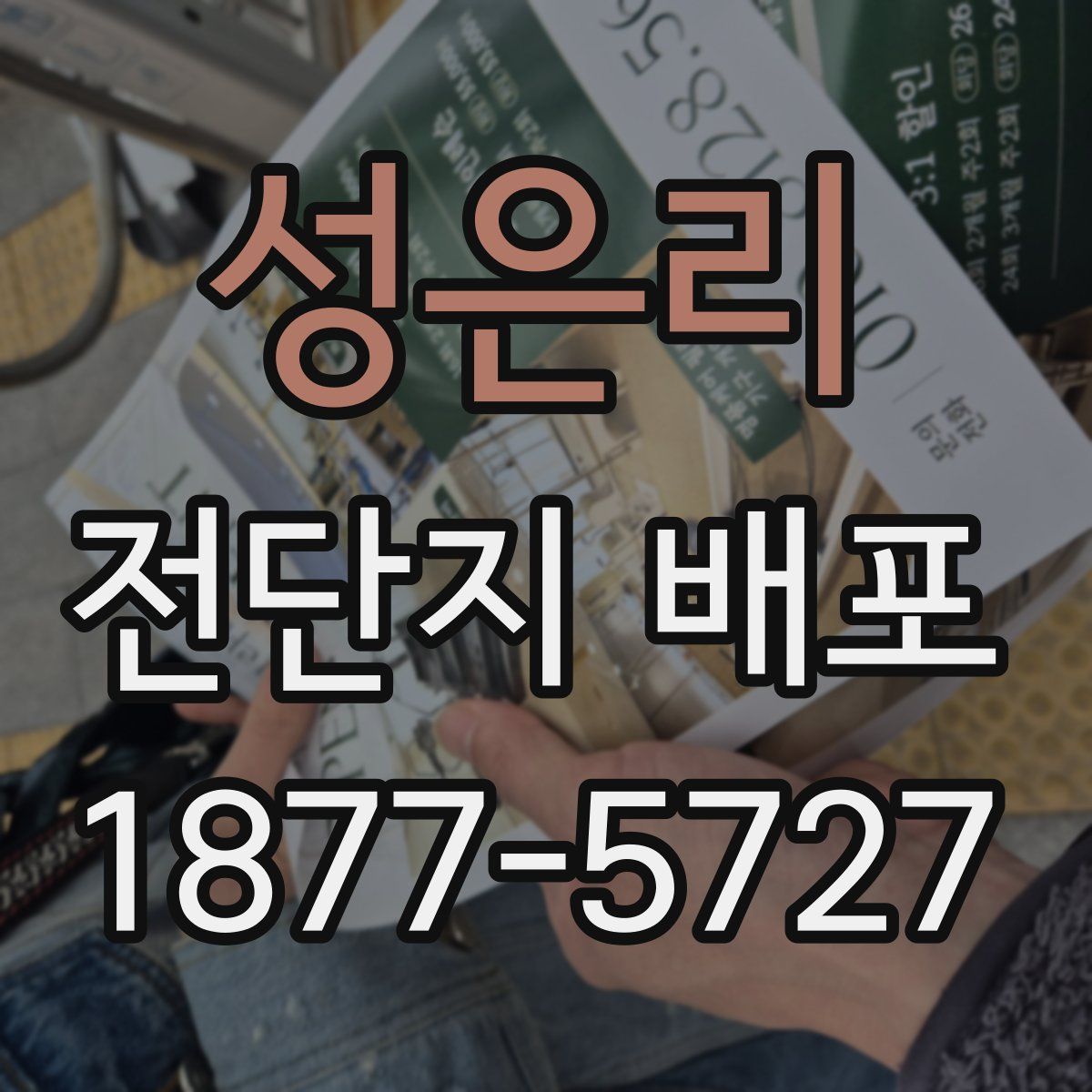 성은리 전단지 배포