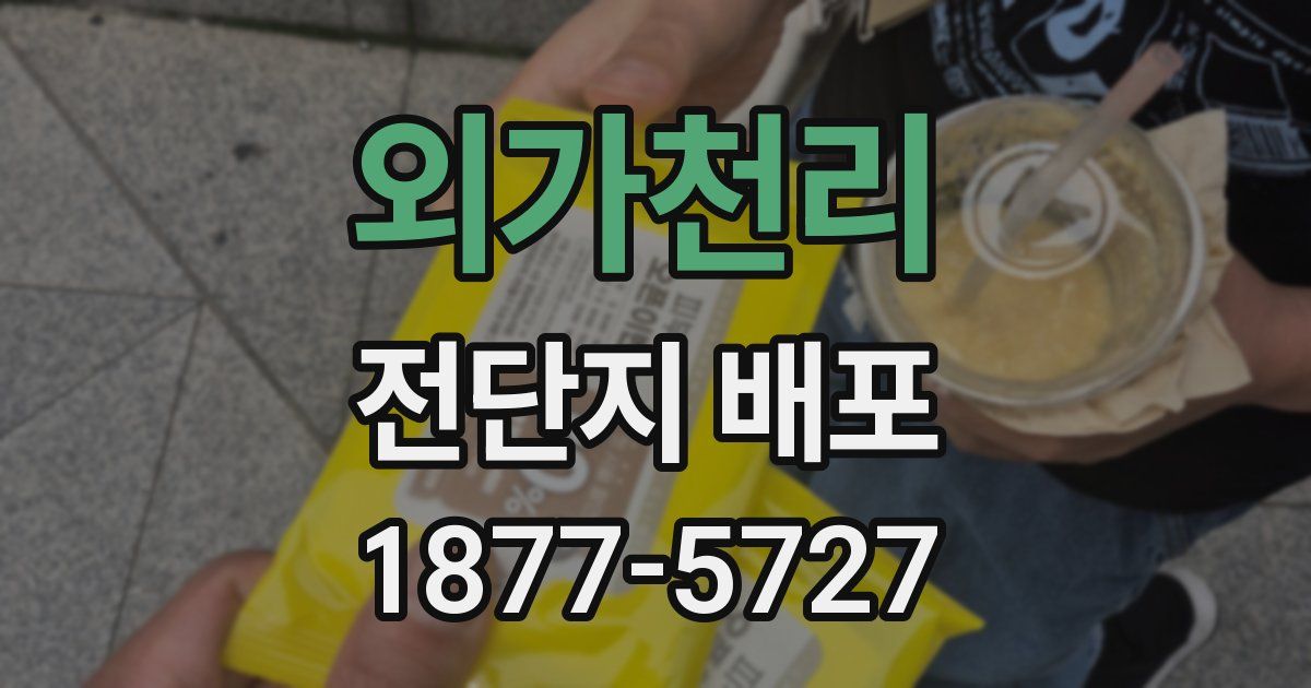 외가천리 전단지 배포