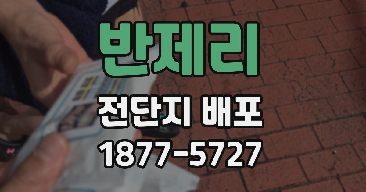 반제리 전단지 배포