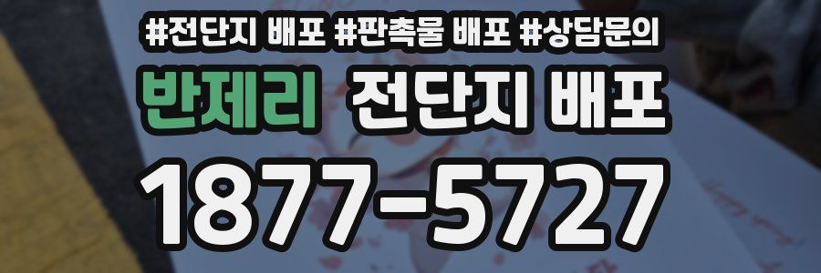 반제리 전단지 배포