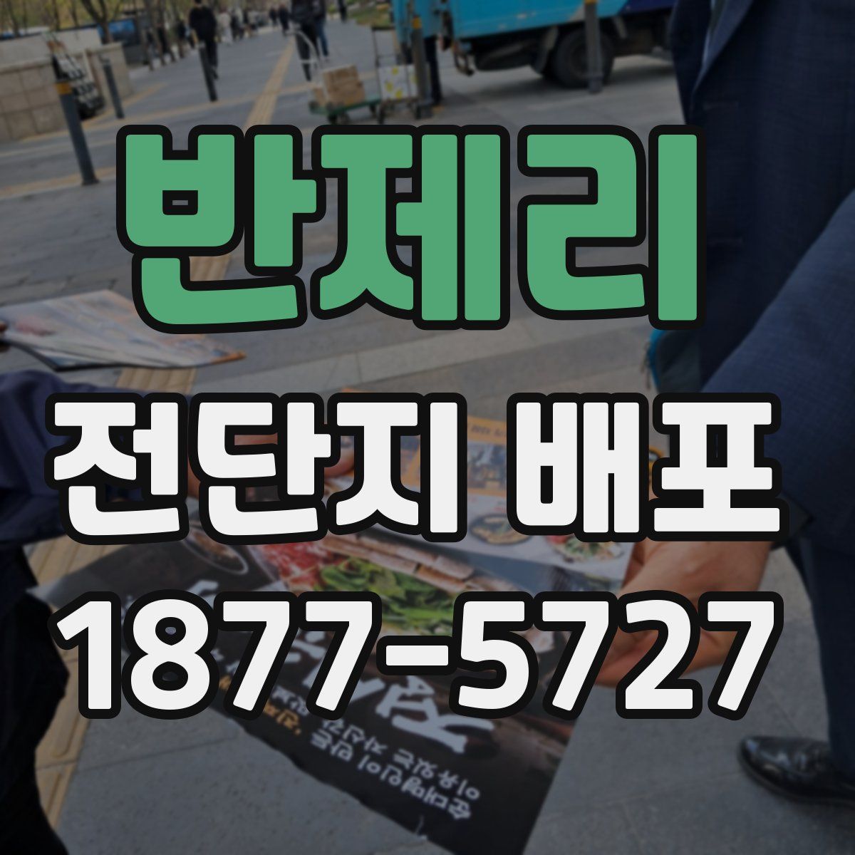 반제리 전단지 배포