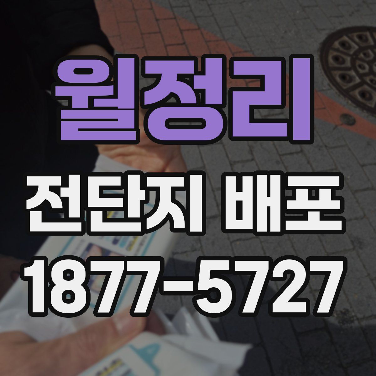 월정리 전단지 배포