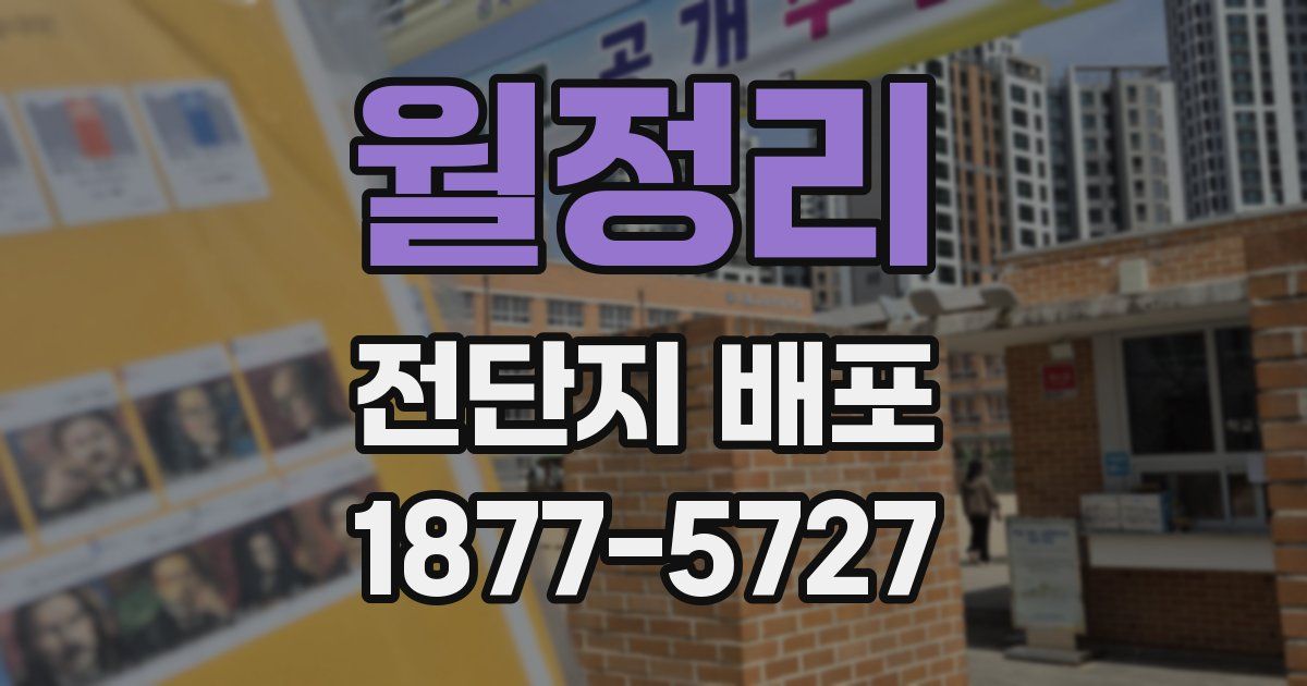 월정리 전단지 배포