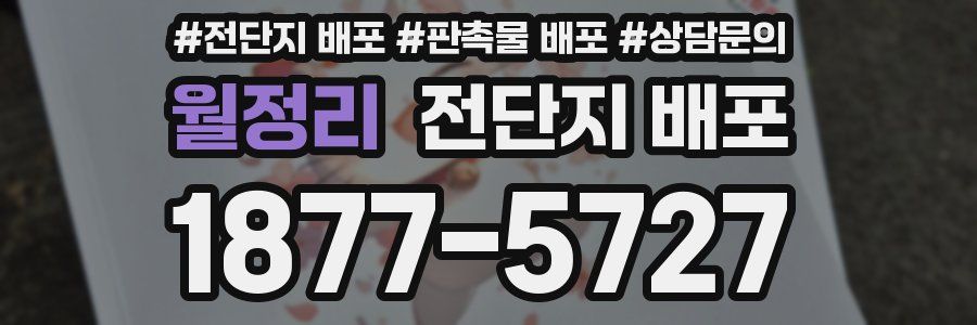 월정리 전단지 배포
