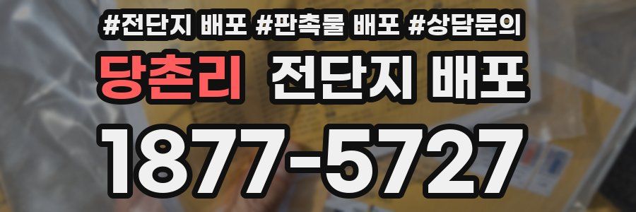 당촌리 전단지 배포