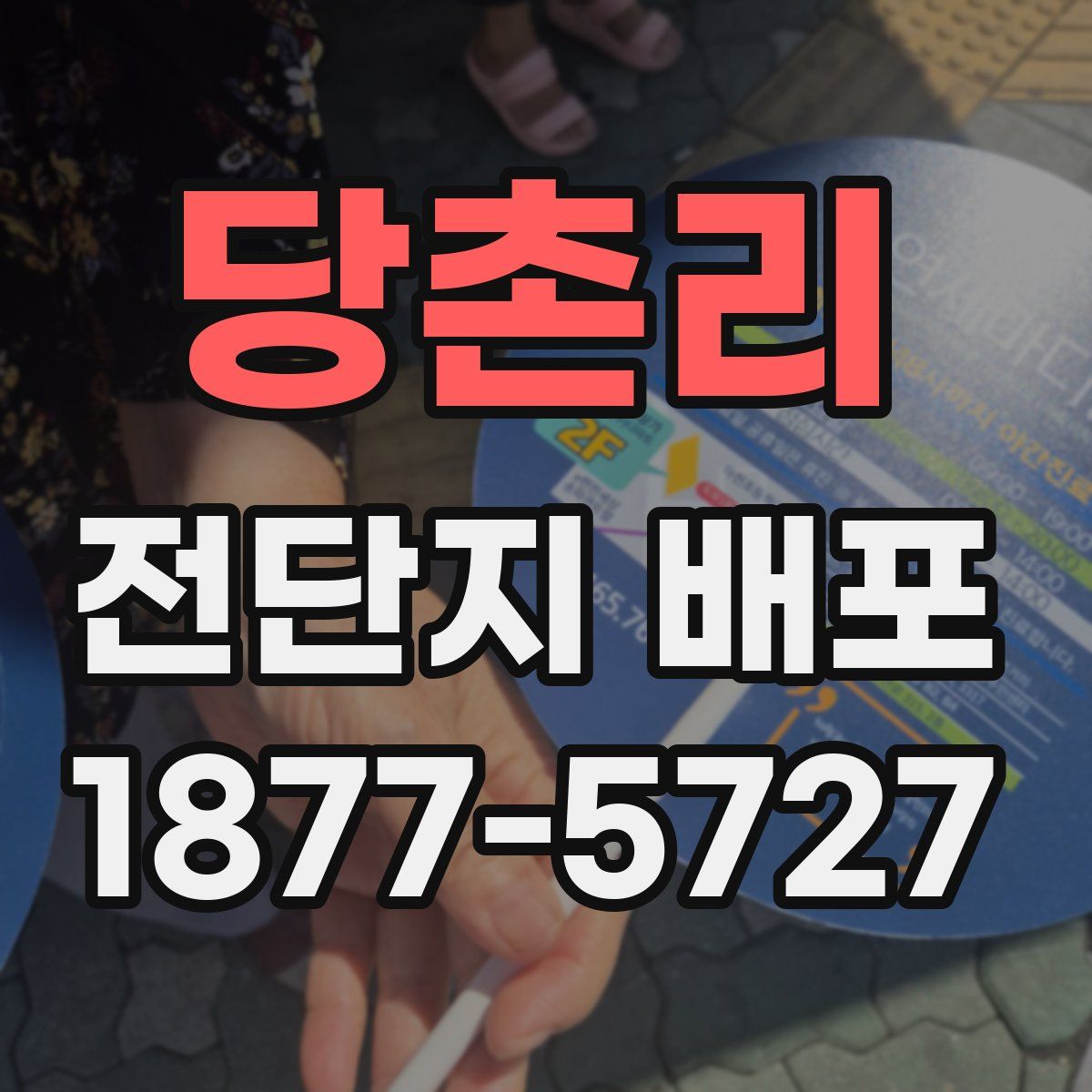 당촌리 전단지 배포