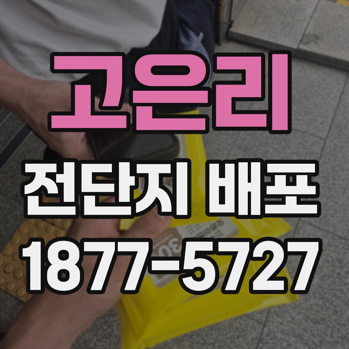 고은리 전단지 배포